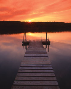 elements1.jpg elements1.jpg