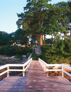 elements2.jpg elements2.jpg