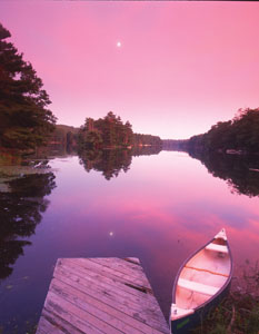 elements3.jpg elements3.jpg